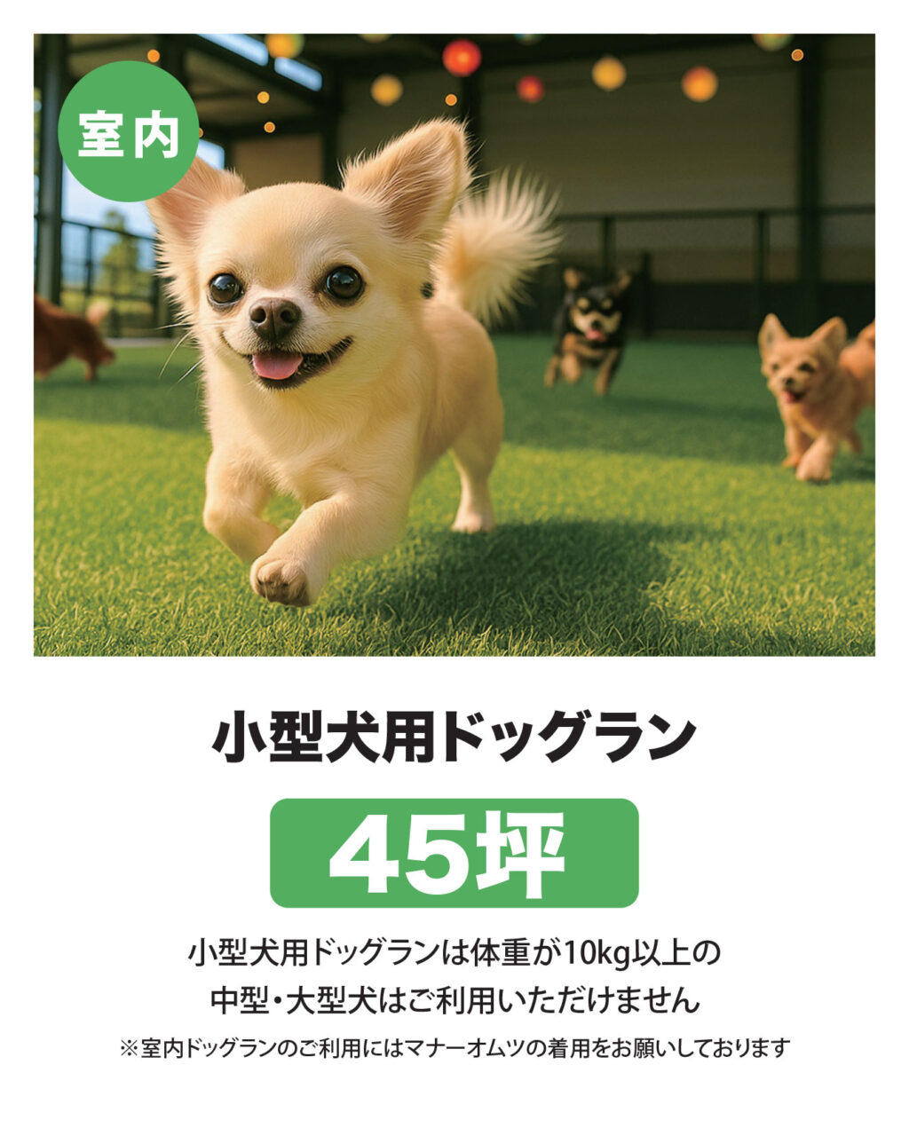 小型犬専用k¥屋内ドッグラン45坪