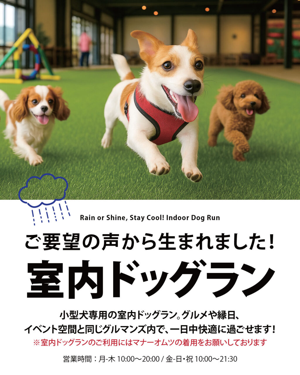 小型犬専用室内ドッグラン