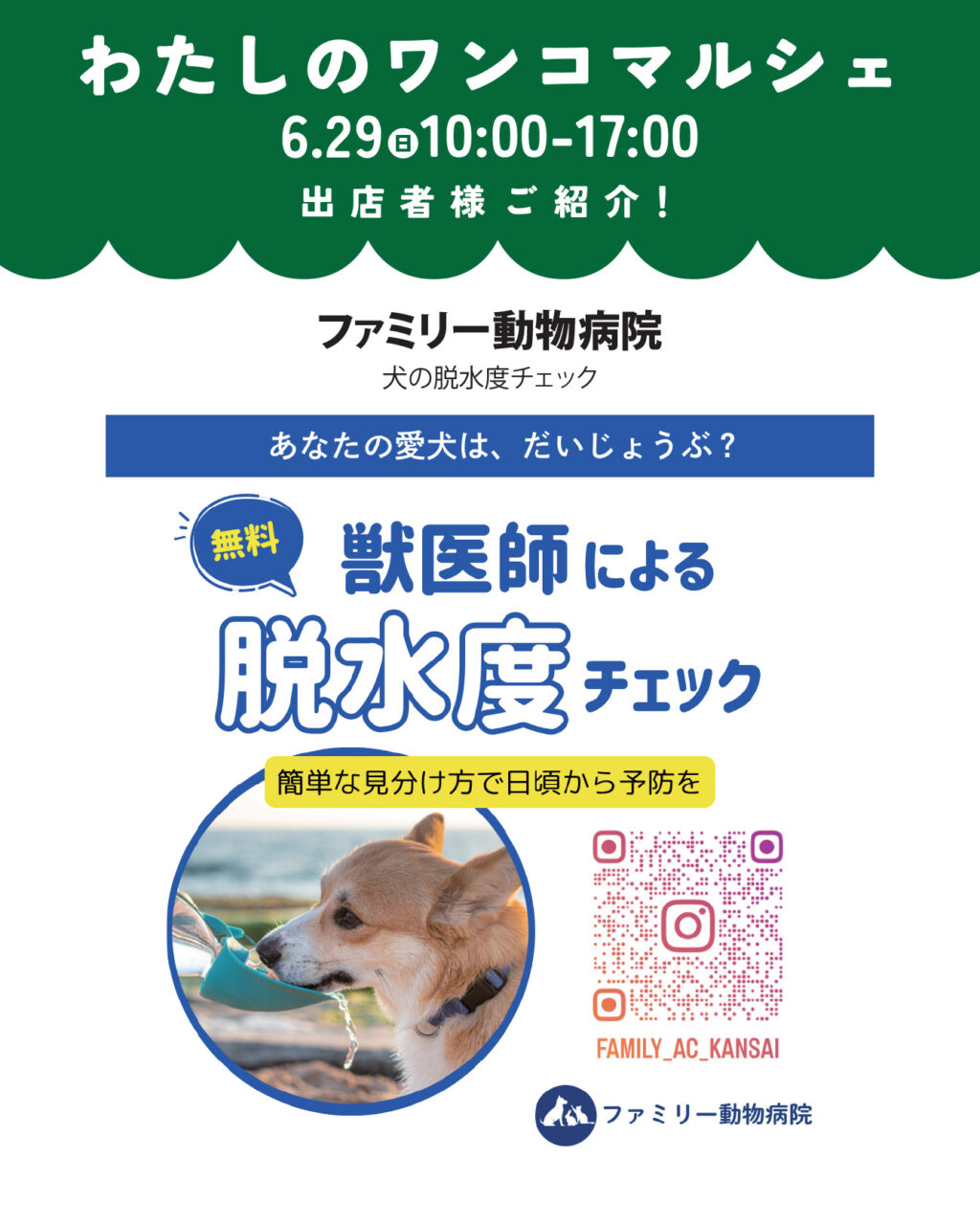 わたしのワンコマルシェ出店者情報!ファミリー動物病院。犬の脱水度チェック診断。