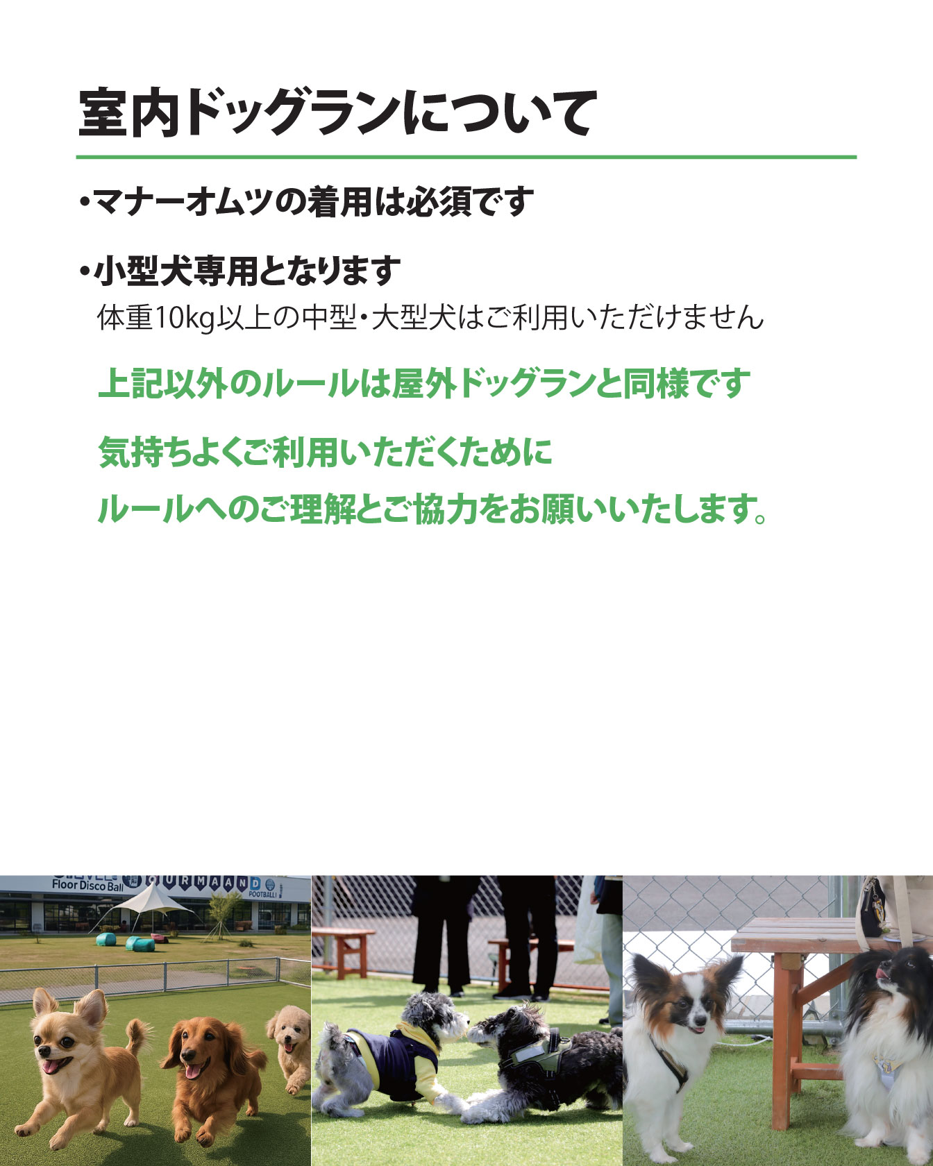 室内ドッグランについて