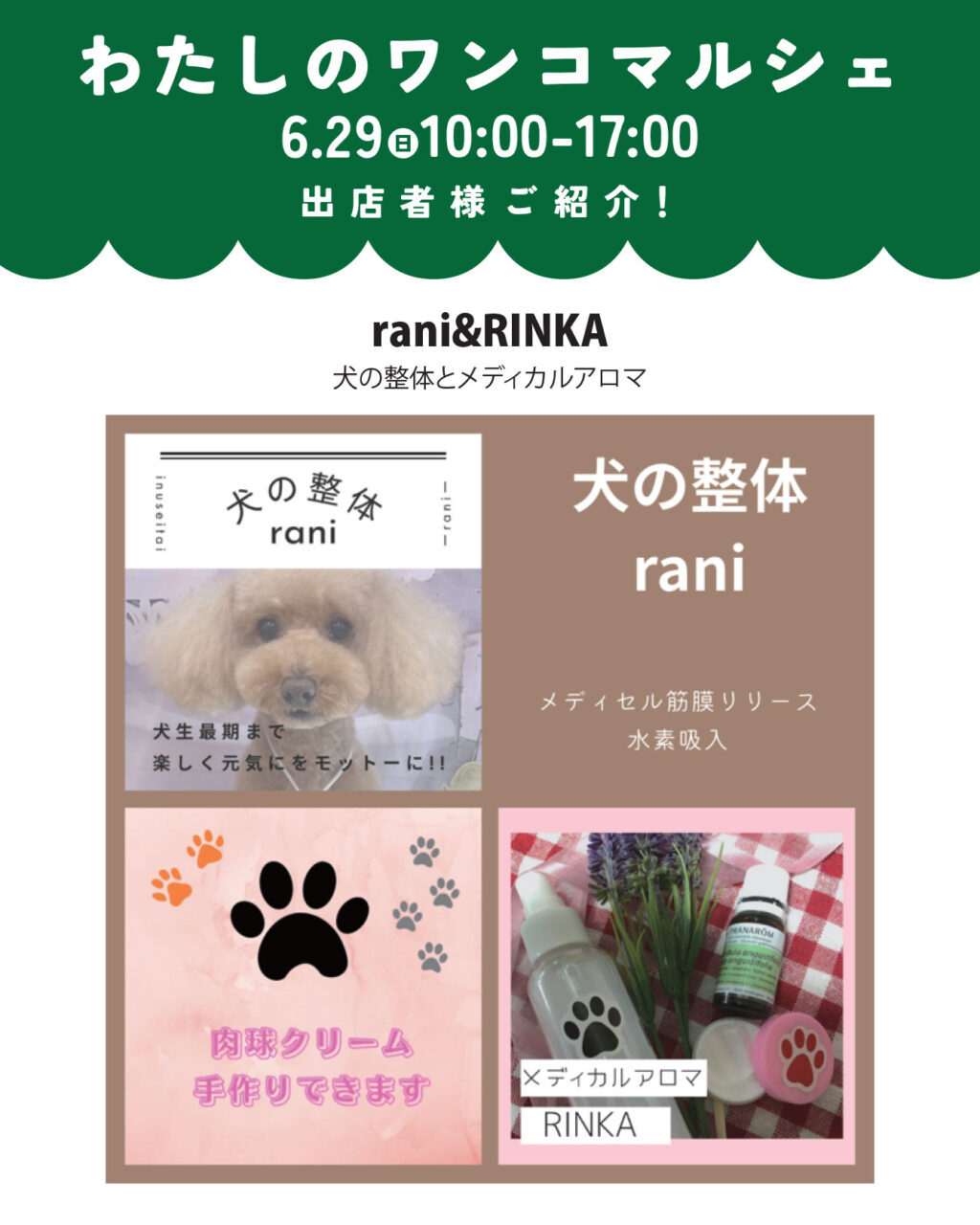 わたしのワンコマルシェ出店者情報!rani&RINKA。犬の整体とメディカルアロマ。