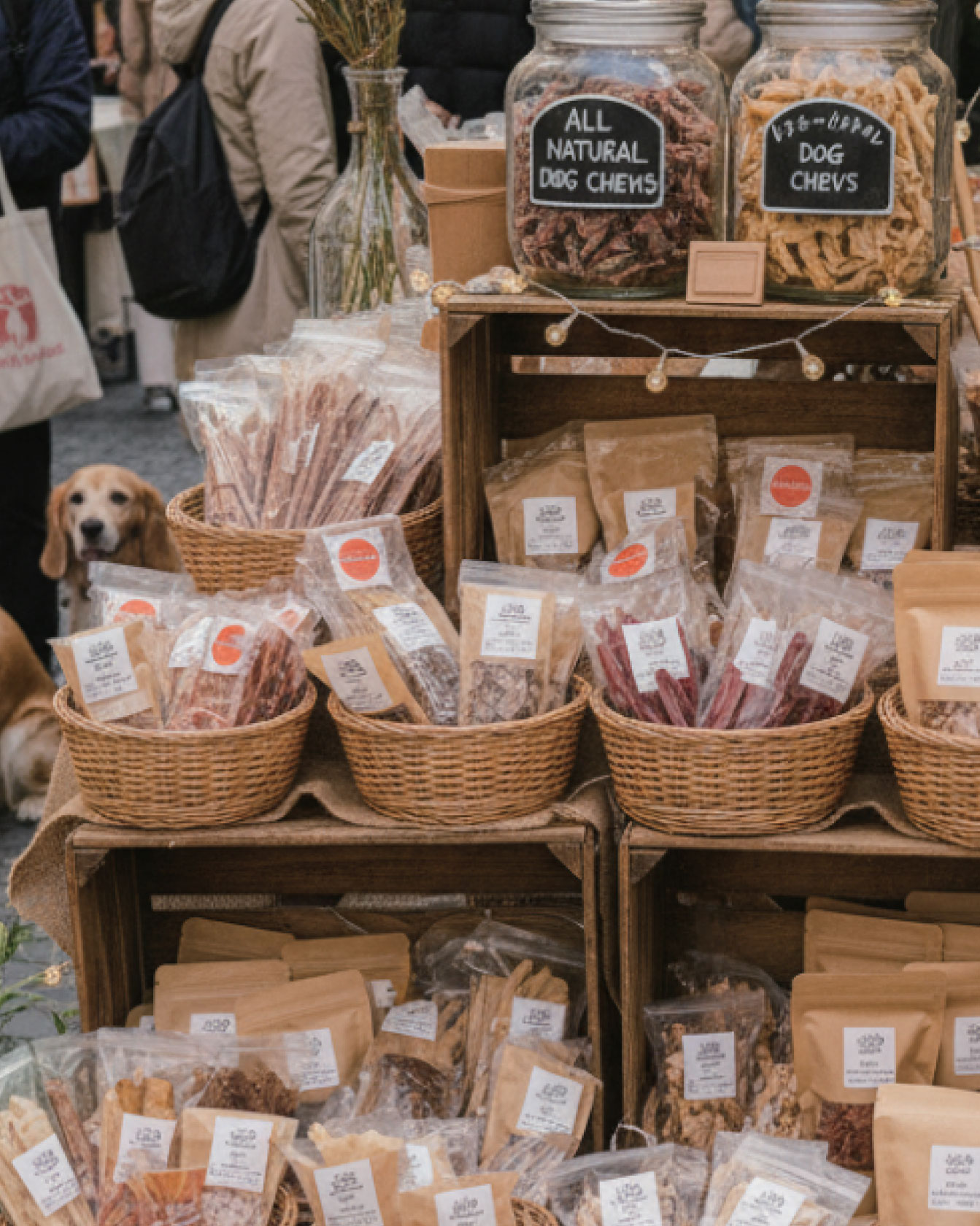 わんこマルシェ