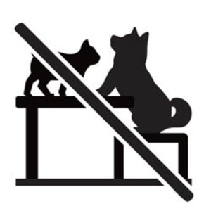 ペットマナーいす・ソファーの上に載せない