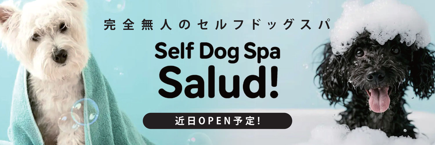 Self Dog Spa Salud!