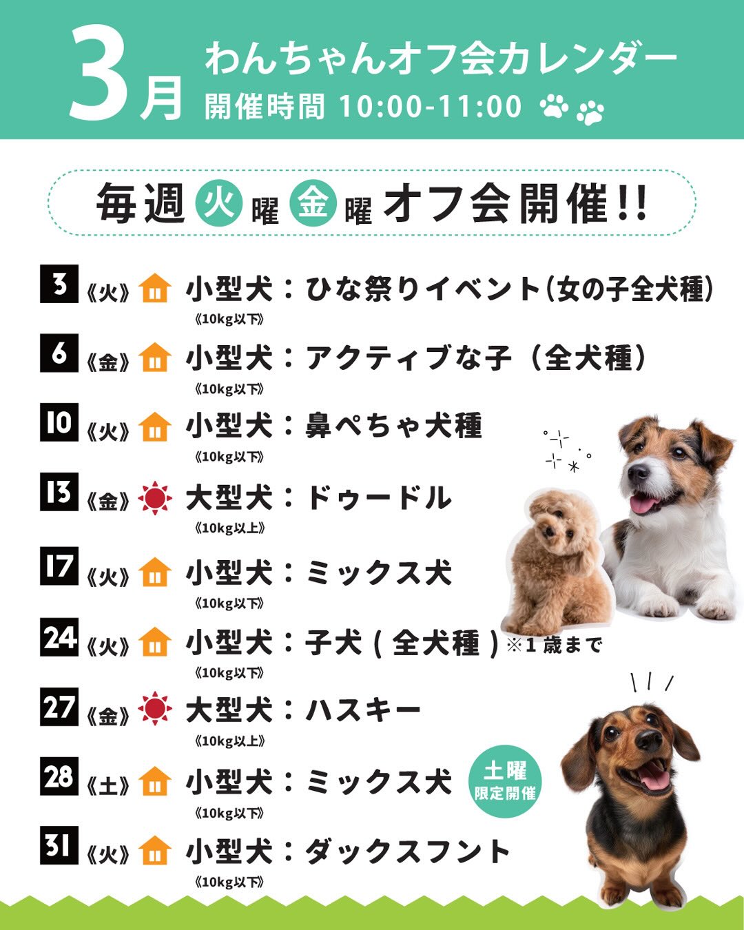わんちゃんオフ会カレンダー｜WHATAWON（ワタワン） | WHATAWON