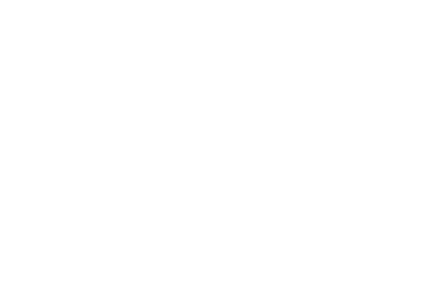 日本語フェス説明