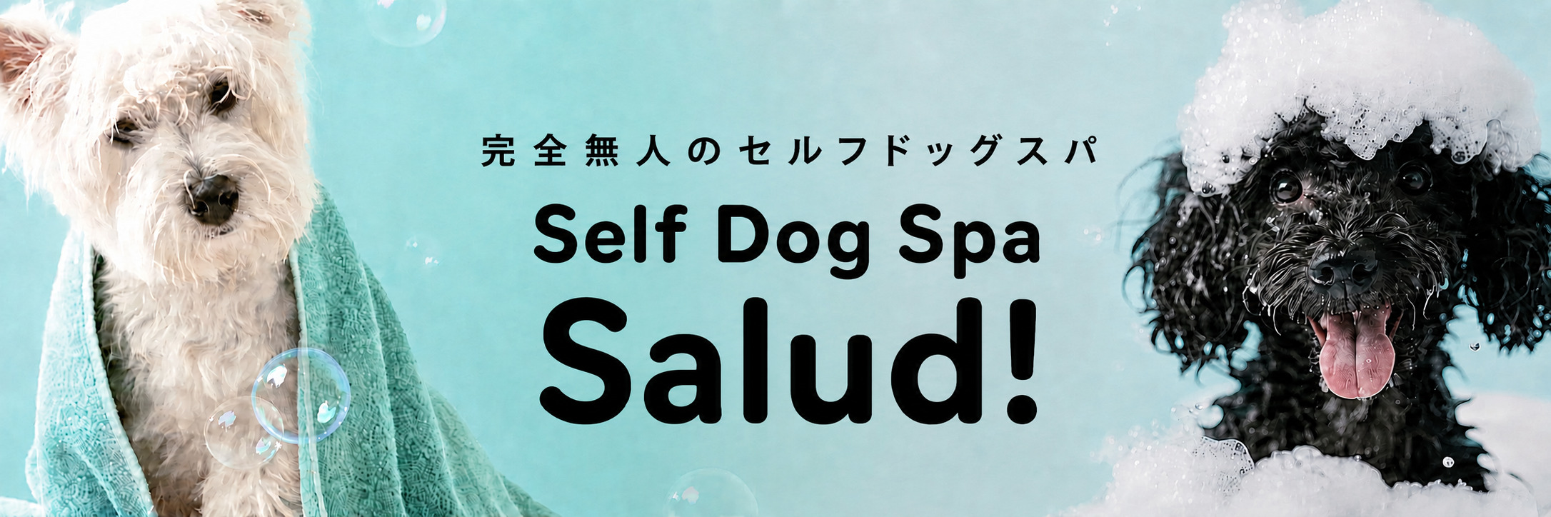 完全無人のセルフドッグスパ Self Dog Spa Salud!