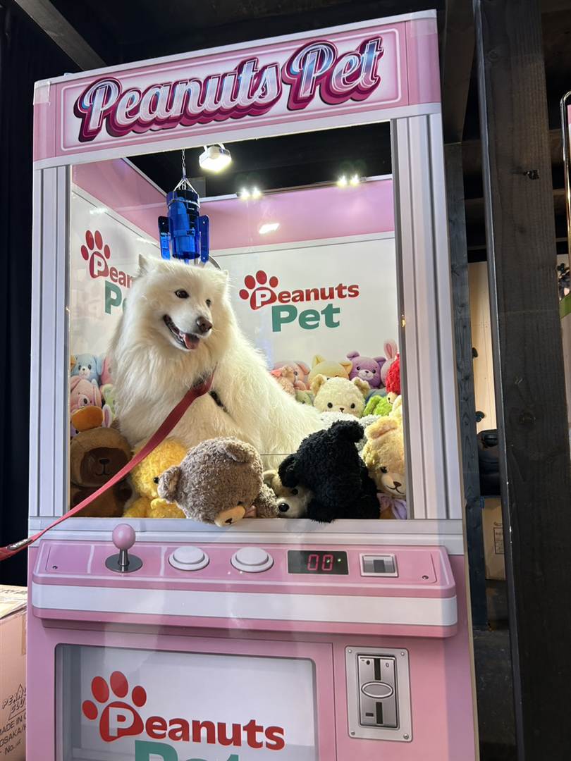 クレーンゲーム風フォトスポットのサモエド